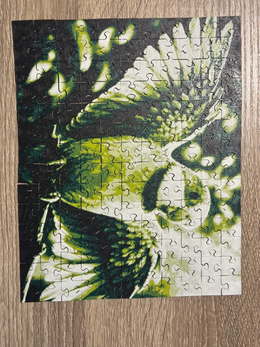 A 3D printed photo puzzle of a green parrot with spread wings, assembled on a wooden desk in daylight